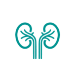 UROLOGIA-GENERAL UROLOGIA-GENERAL